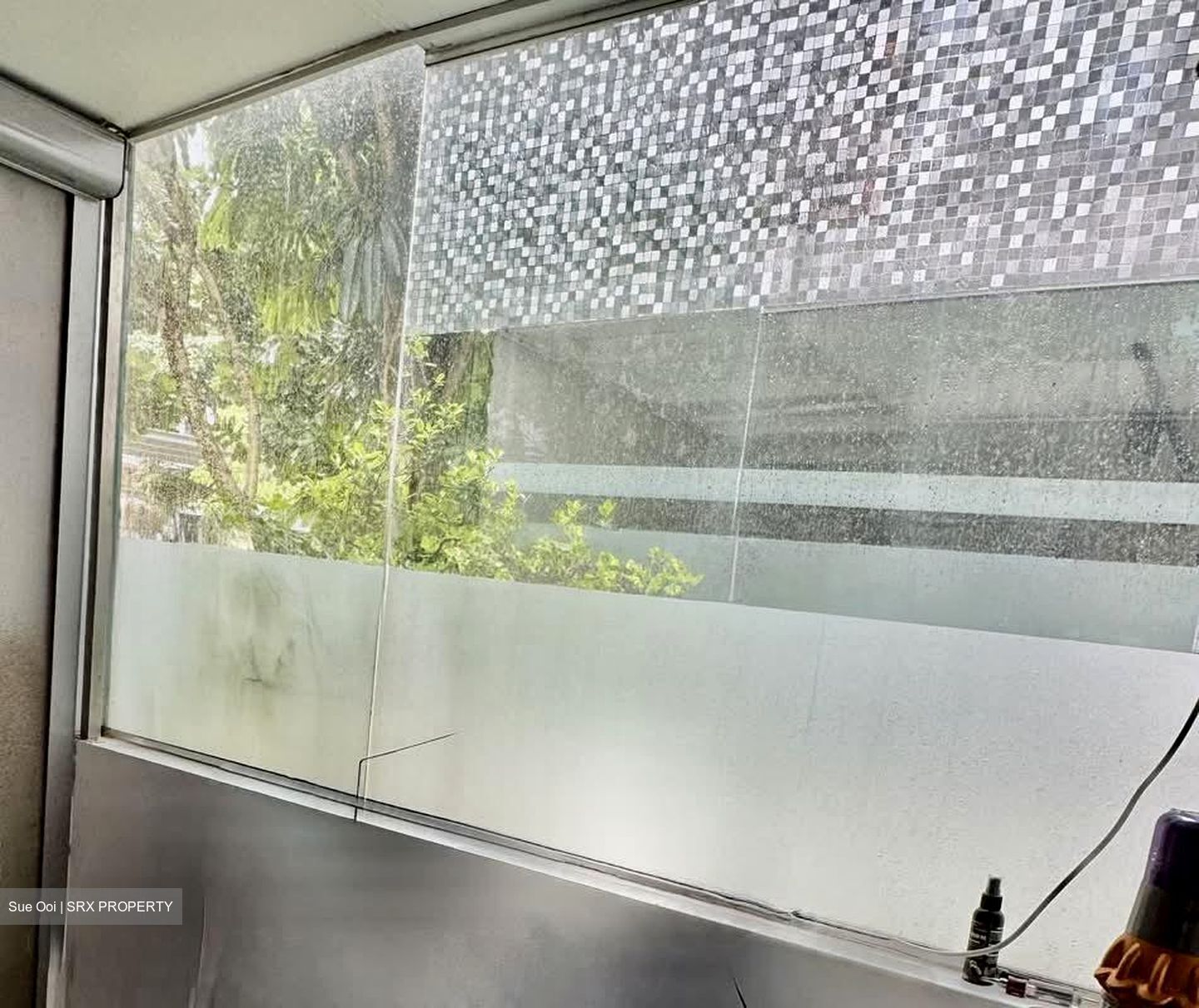 Blossom Residences (D23), Condominium #616453761